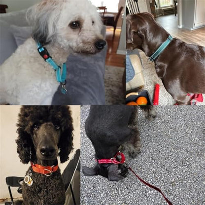 Martingale Dog Collar,Buckle Reflective Dog Choke Collar Escape Proof No Pull Cinch Dog Training Collars Adjustable for Small Medium Breed Pet Dogs,Red M - color: Red, size: M(Neck 13.5-16")