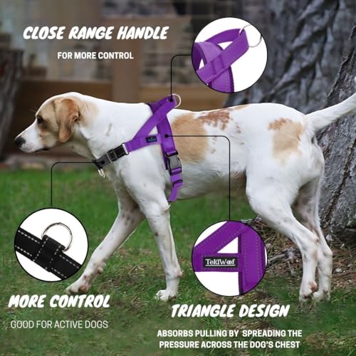 No Pull Dog Harness with Handle, Rear & Front Clip, Adjustable, Easy On/Off, Reflective, Lightweight & Mesh Padded, No Choke. Dog Harness Small Sized Dog (Purple-Black, Small) - color: Purple-Black, size: Small
