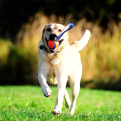 Chuckit! Ultra Tug Dog Toy - Ultra Ball on a Durable Nylon Cord Handle - Fetch and Tug-of-War Toy for Dogs - Size Large - for Breeds 60-100 lbs - 3-inch Diameter - Orange and Blue (Pack of 12) - size: Large (Pack of 12), style: Ultra Tug