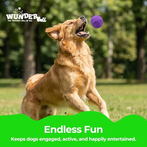 WACKYwalk'r WUNDERball Durable Dog Fetch Toy – Indestructible Natural Rubber Ball, Safer Than Tennis Balls, Floats for Indoor & Outdoor Play, Handmade in North America, Swirl Medium (up to 40 lbs.)