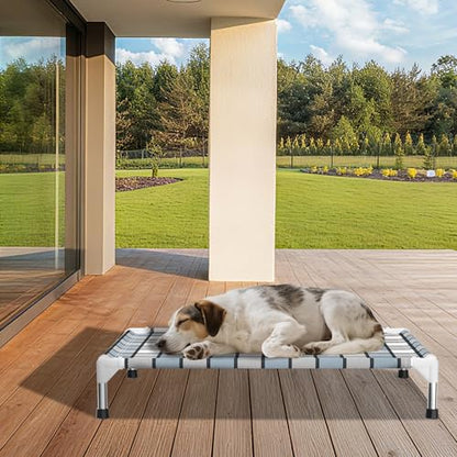 Caghash Elevated Outdoor Raised Dog Bed Outdoor Dogs Bed Lifted Pet Bed Dog Cot for Medium Pet Taste Life, Start with A Pet Bed 34'' x 26'' x 6.5'' - size: Standard - Medium