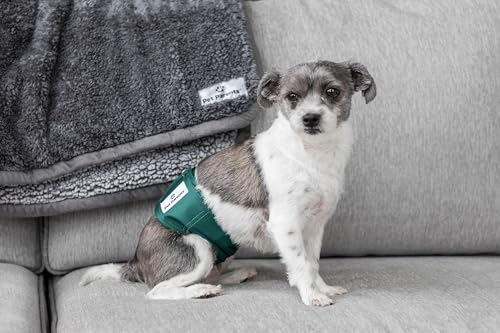 Pet Parents® Washable Belly Bands for Male Dogs (3pack) + Extendrs® of Durable Dog Diapers Male, Premium Male Dog Diapers & Dog Wraps (X-Small, Spruce) - color: Spruce, size: X-Small (11-13")