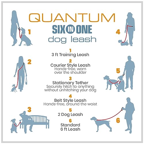 Kurgo 6 in 1 Quantum Leash, Hands Free Leash for Dogs, Running Belt Lead, Crossbody & Waist Belt Style, Reflective, Carabiner Clip, for Training, Hiking, or Jogging, 4 Colors