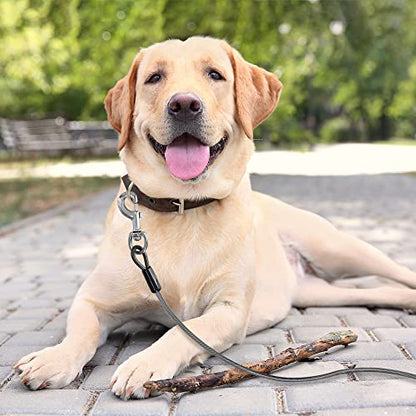 BV Dog Tie Out Cable 25 Feet - Heavy Duty Dog Lead Up to 250 Pounds - Reflective & Rust-Free with Quick Release Swivel Clips & 360° Rotating Clasp - Tangle-Free Dogs Runner for Yard (Grey, Pair) - color: 250lbs/ 25ft/ Grey, style: Pair