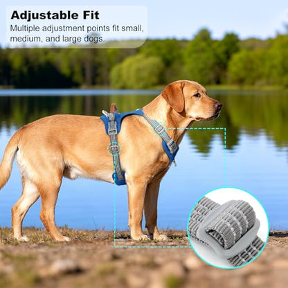 No Pull Dog Harness – Adjustable Reflective Nylon Vest for Small Medium Large Dogs, Escape Proof Training Harness with Leather Control Handle, Lightweight Aluminum Hardware (Royal Blue, XL) - color: Royal Blue, size: XL