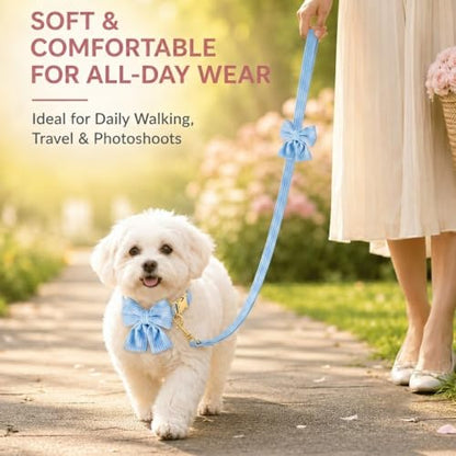 Dog Collar and Leash Set with Bowtie, Soft & Cute Puppy Collar, Cotton Puppy Collar with Adjustable Metal Buckle for Small, Medium Dog (Blue, Size S: Neck 10"-16") - color: Blue, size: S: Neck 10"-16" Leash 5 FT