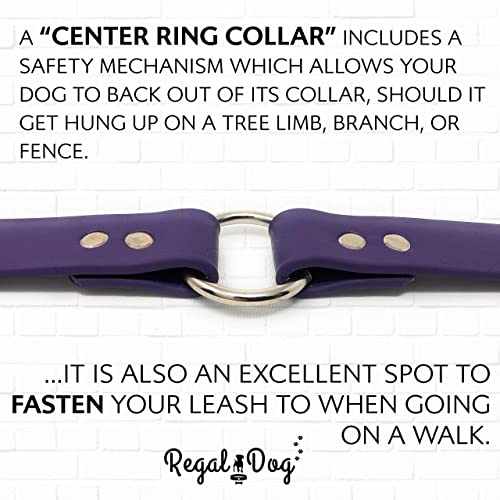 Regal Dog Products Small Purple Dog Collar with Heavy Duty Double Buckle & D Ring | Vinyl Coated, Custom Fit, Adjustable Biothane Dog Collar | Chew Resistant Waterproof Center-Ring Collar for Dogs - color: Purple, size: Small