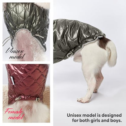 Adjustable Waterproof Dog Winter Coat with Reflective Strips, Insulated Fleece Lined Harness Hole Jacket for Cold Weather & Snow (Gray, XX-Large) - color: Gray, size: XXL:Chest 22'' , Length: 15.7''