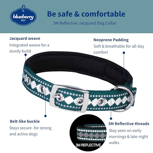 Blueberry Pet Reflective Jacquard Dog Collar with Neoprene Padding & Metal Buckle | Soft & Adjustable Safety Collar - Teal Blue - color: Metal Buckle-Teal Blue, size: Small