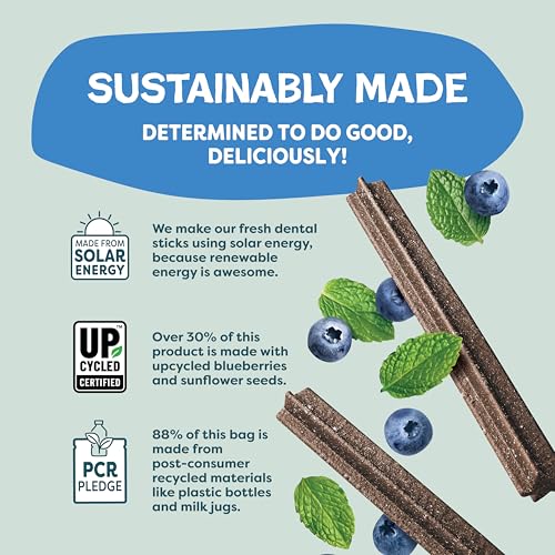 Shameless Pets Blueberry & Mint Dental Chews for Dogs, 32 Chews - Natural Dog Teeth Cleaning Treats with Fresh Breath Benefits | Grain-Free Dental Sticks for Small, Medium & Large Dogs - size: 1.75 Pound (Pack of 1)