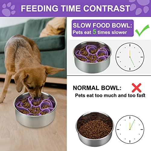 Anipaw Dog Slow Feeder Bowls Silicone Spiral Pet Food Feeder Insert to Slow Down Eating for Large Medium Small Breed Dogs Perfect with Stainless Steel Glass Ceramic Pet Bowls (Purple) - color: Purple