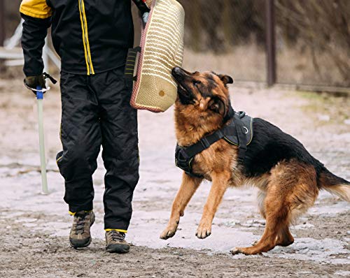 Dog Bite Training Set Professional Dog Bite Sleeve Arm with Whip Agitation Stick for Dogs Training Equipment Protection for Biting Playing Tugging Toy Interactive Pitbull German Shepherd Puppy K9