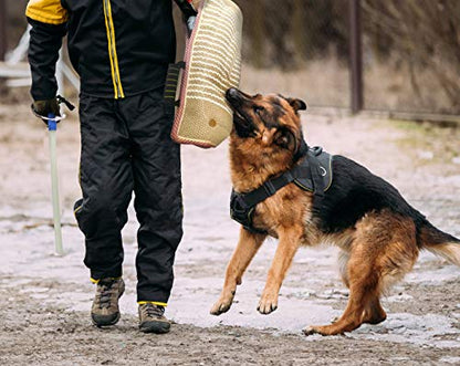Dog Bite Training Set Professional Dog Bite Sleeve Arm with Whip Agitation Stick for Dogs Training Equipment Protection for Biting Playing Tugging Toy Interactive Pitbull German Shepherd Puppy K9