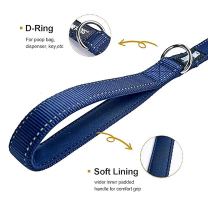OneTigris Handled No-Pull Dog Walking Leash Long Traffic Leads for Medium to Large Dogs (Blue, 6FT) - color: Blue, size: 6FT