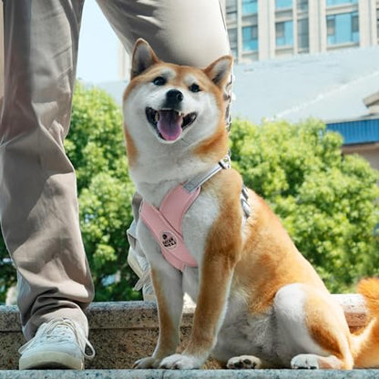 Patas Lague Dog Harness with Leash Set Adjustable Soft Padded Step-in Dog Vest No Choke No Pull Reflective for Small Medium Pets with Poop Bags and Dispenser, Solid and No-chew, Pink M - color: Pink, size: M (Neck 19.3-23.3'' Chest 22.5-25.6'')