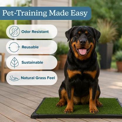 Artificial Grass Puppy Pee Pad for Dogs and Small Pets - 41X27 Inch, Reusable 4-Layer Turf Pads for Dogs with Tray - Indoor and Outdoor Fake Grass Potty Pet Supplies by PETMAKER - size: XXL 4-Layer System