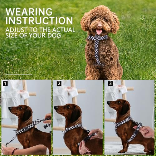 Roses&Poetry Dog Harness Small Sized Dog, 6 Point Adjustable Fit No Pull Harness with Handle for Control and Easy Walking, Reflective Pet Halter Harnesses（Blackwhite-S） - color: Checkered, size: S