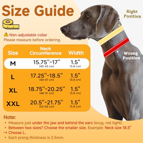 Mayerzon Martingale No Pull Collar for Medium Large Dogs, Walking Training Collar for Dogs German Shepherd Boxer Rottweiler That Pull, Reflective, with 360° Swivel Ring and Release Buckle(M, Black) - size: Medium,2.5mm,15.75''-17''Neck