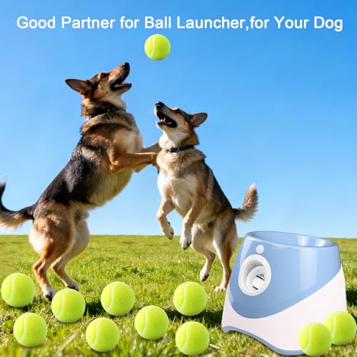 10 Pack of 2 Inch Mini Tennis Balls for Small Dogs, Fetch & Chew Toys, Compatible with 2" Automatic Ball Launchers for Interactive Play (Green 3)