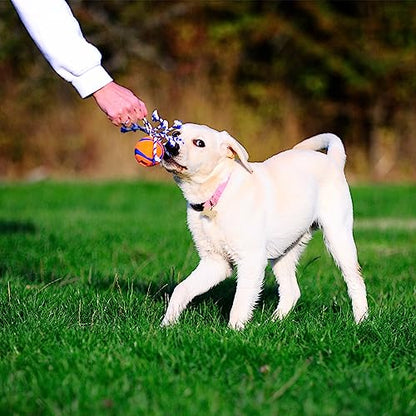 Chuckit! Ultra Toss Dog Toy, Small Indoor and Outdoor Dog Toy for Dogs 0-20 Pounds - size: Small, style: Ultra Toss