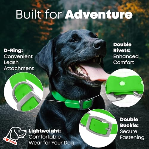 Regal Dog Products Large Light Green Dog Collar with Heavy Duty Double Buckle & D Ring | Vinyl Coated, Custom Fit, Adjustable Biothane Dog Collar Chew Resistant Waterproof Center-Ring Collar for Dogs - color: Green, size: Large