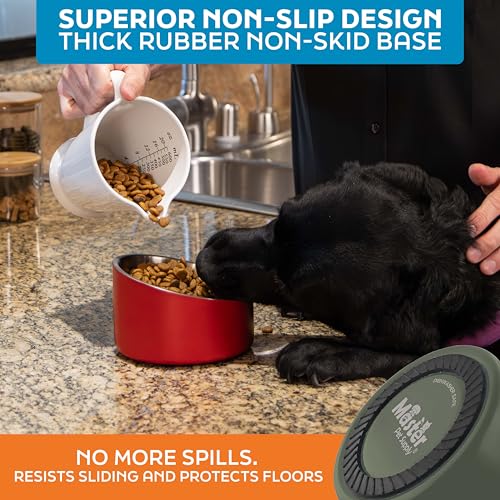 Master Pet Supply Stainless Steel Slanted Dog Cat Food Bowl - 16 oz Heavy Duty - Camo Patrol, Double Wall Insulated, Non-Slip Elevated Bowl for French Bulldogs Pugs Cats, Anti Rust Dishwasher Safe - color: Camo Patrol, size: 2 Cups (16 oz)