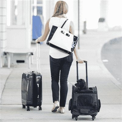 Gen7Pets Dog Carrier - Large Red Roller Bag Pet Carrier - color: Red, size: 18.5"L x 11.5"W x 19.0"H