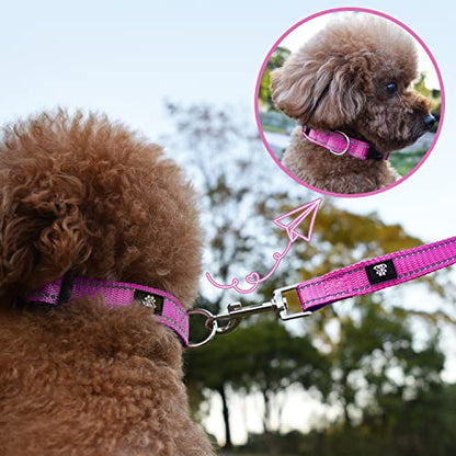 NESTROAD Dog Collar and Leash Set,Reflective Dog Collars with Quick Release Buckle,Adjustable Nylon Pet Collar for Small Medium Large Dogs(Small,Fuchsia Pink) - color: Fuchsia Pink, size: Small