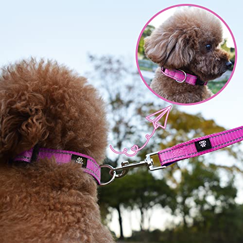 NESTROAD Dog Collar and Leash Set,Reflective Dog Collars with Quick Release Buckle,Adjustable Nylon Pet Collar for Small Medium Large Dogs(Medium,Fuchsia Pink) - color: Fuchsia Pink, size: Medium
