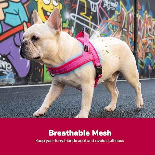 Didog No Pull Dog Harness with Breathable Mesh Padded,Reflective & Quick Fit Light Weight Dog Strap Vest Harness,Easy for Walking Training (S:Chest 18-22", Mesh-Hot Pink) - color: Hot Pink, size: S: Chest 18-22", Fit 19-29 lbs