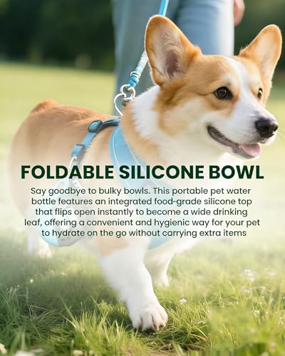 Foldable Pet Water Bottle for Travel, 2 in 1 Portable Dog Water Bottle, 9.6 Oz Stainless Steel Bottle with Silicone Bowl, Leak-Proof Water Dispenser Ideal for Small Dog Walking (Blue-Pattern) - color: Blue-Pattern