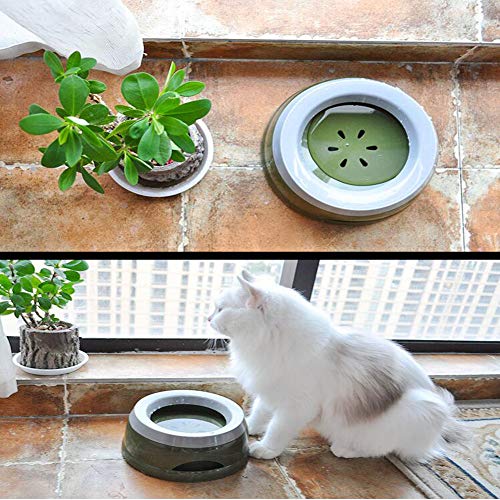 Love Dream No Spill Dog Water Bowl, No Drip Dog Slow Water Feeder No Slip Vehicle Carried Pet Water Dispenser 25 oz with Floating Disk Slow Drinking Bowl for Dogs Cats (Army Green) - color: Army Green