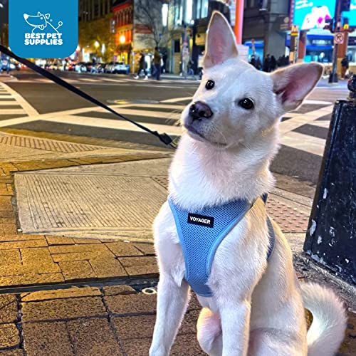 Best Pet Supplies Voyager Step-in Air Harness - All Weather Mesh, Reflective, No Pull Harness for Dogs, Cats - Secure with Hook & Loop Fastener, Buckle, Double D-Rings - Baby Blue, L - color: Harness (Baby Blue), size: L (Chest: 18 - 20.5")
