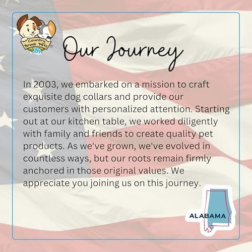 Country Brook Petz - HossFit Jr Wide Martingale Dog Collar - Groovy Collection Featuring Far Out Designs (Paint Splatter, Extra Large) - color: Paint Splatter, size: Extra Large (Pack of 1)