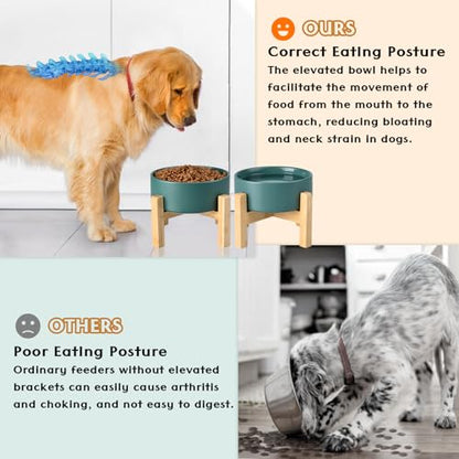 SPUNKYJUNKY Ceramic Elevated Dog Bowls 2 Pack - 5.1inch Raised Dog Bowls with Non-Slip Wooden Stand for Small Dogs Dishwasher Safe(Green,13.5OZ*2) - color: Green, size: Small - 1.7 CUPS*2
