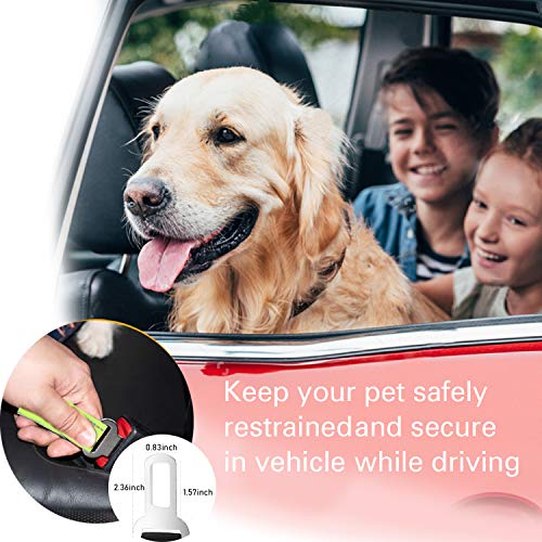 No-Pull Shock Absorbing Bungee Leash for Large Dogs, 4-6 FT Heavy Duty Dog Leash with Traffic Handle & Seat Belt Buckle, Reflective, Up to 150 Lbs - color: Fluorescent Green