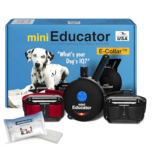 E-Collar ET-300 / ET-302 Dog Training Collar System with Remote - 1/2 Mile Range - Waterproof, Vibration, Sensation - Includes eOutletDeals Pet Towel (2 Dog System - ET-302 Black) - size: 2 Dog System - ET-302 BLACK