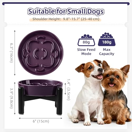 Elevated Slow Feeder Dog Bowl, 0.8 Cups Ceramic Raised Slow Feeder with Stainless Stand, 6.3 Inch Wide Lifted Dog Bowl for Small Breeds to Control Eating Speed, Purple - color: Purple, size: Small with Stand