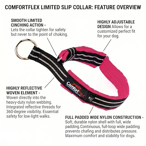 ComfortFlex Limited Slip Martingale Collar, Medium, Berry | American made, designed, cut, assembled, sewn in USA, wide escape proof martingale design, premium padding, gentle control - color: Berry, size: Medium