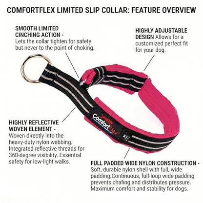 ComfortFlex Limited Slip Martingale Collar, Medium, Berry | American made, designed, cut, assembled, sewn in USA, wide escape proof martingale design, premium padding, gentle control - color: Berry, size: Medium