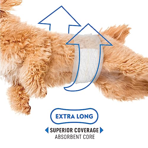 Paw Inspired Select Fit Male Dog Diapers, Disposable Male Wraps with Wetness Indicator| Belly Bands for Small, Medium, Large Dogs (X-Small, 20 Count) - size: X-Small