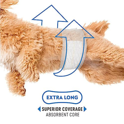 Paw Inspired Select Fit Male Dog Diapers, Disposable Male Wraps with Wetness Indicator| Belly Bands for Small, Medium, Large Dogs (X-Small, 20 Count) - size: X-Small
