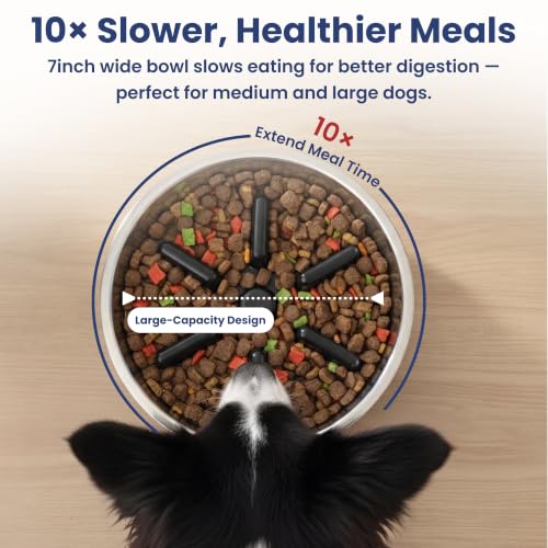 PawsPik 64oz 18/8 Stainless Steel Slow Feeder Dog Bowl, Double-Wall Non-Slip Metal Dog Bowl for Fast Eating Medium & Large Breeds, Detachable Slow Feeder Insert, Dishwasher Safe (Eclipse Shadow Black) - color: Eclipse Shadow Black