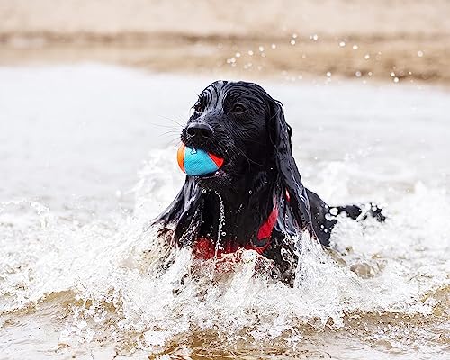 Chuckit! Amphibious Fetch Balls, Set of 3, Medium (Pack of 12) - size: Medium (Pack of 12), style: Fetch Balls (Pack of 3)