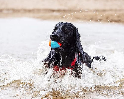 Chuckit! Amphibious Fetch Balls, Set of 3, Medium (Pack of 12) - size: Medium (Pack of 12), style: Fetch Balls (Pack of 3)