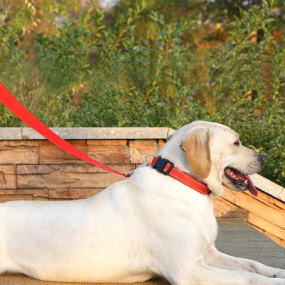 Dog Leash 6 FT Padded Handle Nylon Reflective Dogs Leashes for Small Dogs Red - color: Refl Red, size: Small : 5/8" x 6 FT