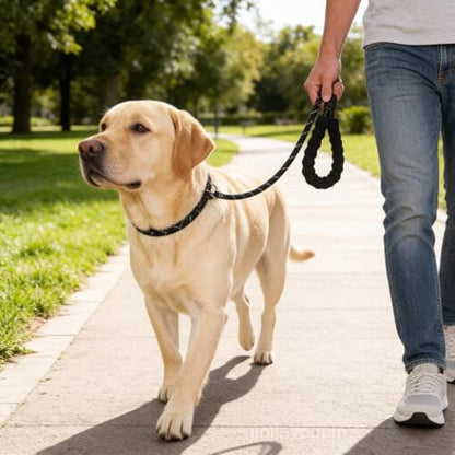 6 FT Rope Dog Leash Shock-Absorbing - Padded Handle and Sliding Metal Buckle, Adjustable Heavy-Duty Reflective Rope for Walking Medium Large Dogs (Red) - color: Red