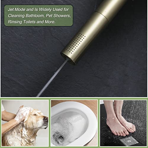 Brushed Gold Shower Head 2 in 1 Function High Pressure 7 inch Hand Held Shower Head Dual Modes High Flow Shower Wand with 59 inch Hose and Shower Bracket - color: Brushed Gold