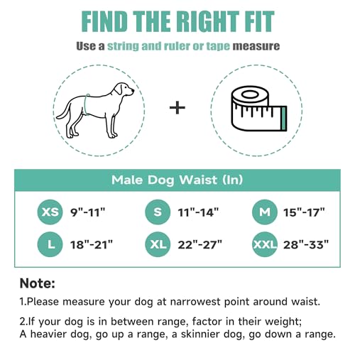 wegreeco Washable Male Dog Diapers (Pack of 3) - Washable Male Dog Belly Wrap (Geometrical Blue Green Coffee, X-Small) - color: Geometrical Blue Green Coffee, size: X-Small (Pack of 3)