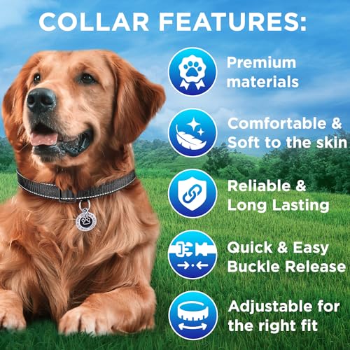 TECEUM Reflective Dog Collar – Black – XXS – Extra Soft Padding – Basic Nylon Pet Collar – Quick Release Buckle – Fits Small, Medium and Large Dogs, Puppies, Cats – ESA & Service Dog Options - color: Black, size: XX-Small